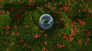 Una vista aérea de una bola de cristal en un campo de flores