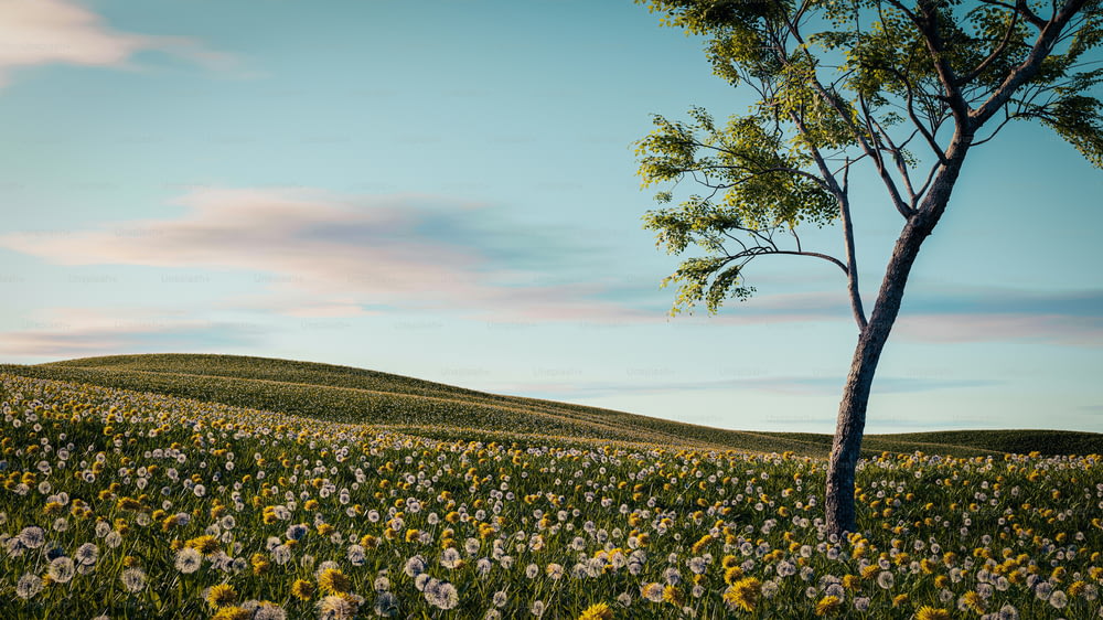 a field of flowers with a tree in the middle
