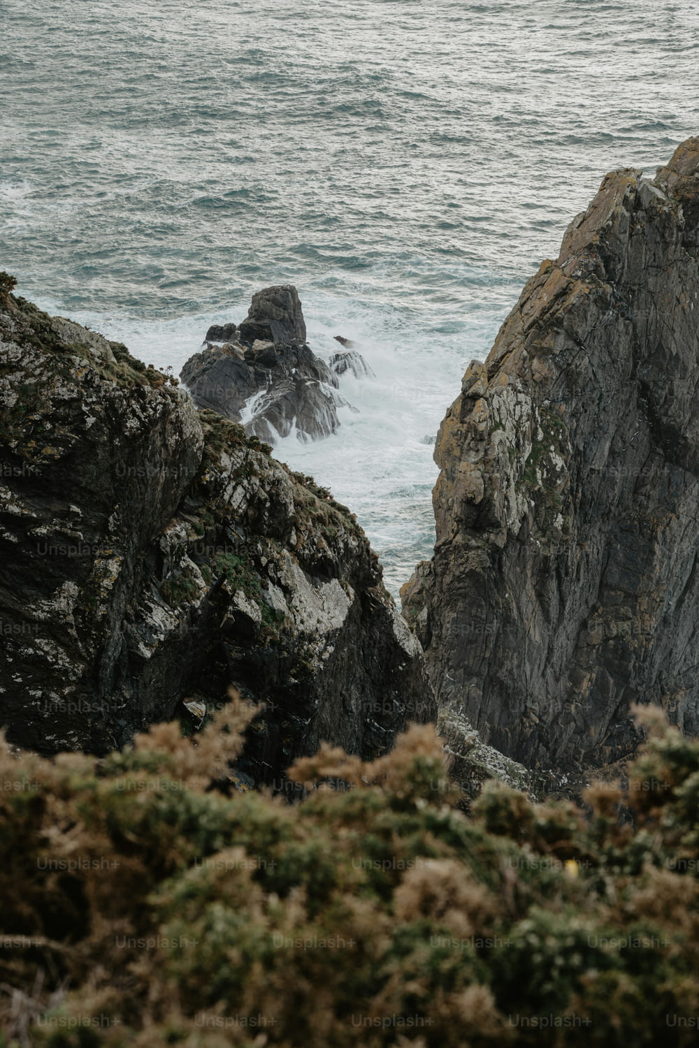 um pássaro sentado no topo de uma rocha perto do oceano