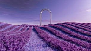 a purple field with a white arch in the middle