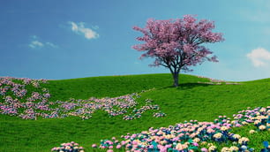 ein Blumenfeld und ein Baum auf einem Hügel