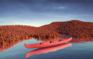a red canoe floating on top of a body of water