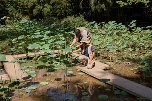 a man kneeling on a wooden plank over a pond of water lilies