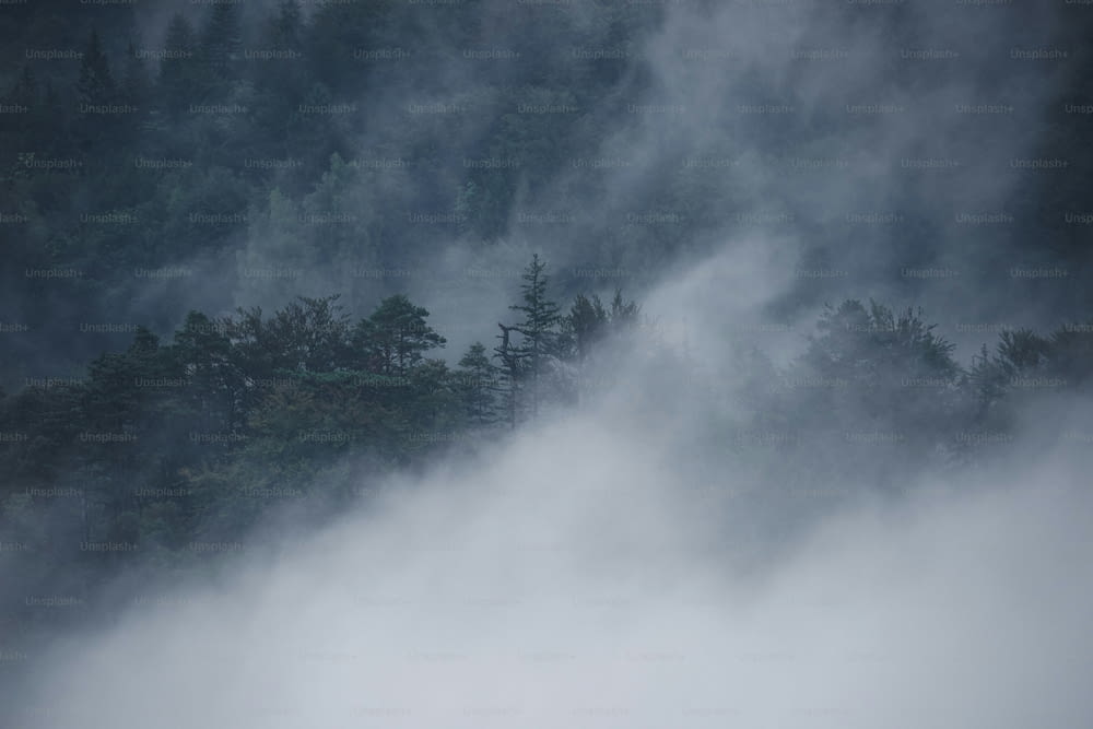Ein in Nebel gehüllter Berg mit Bäumen im Hintergrund