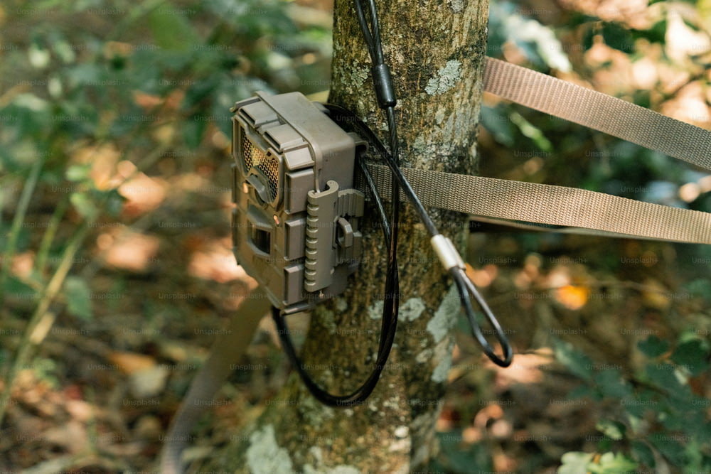 a camera attached to a tree in the woods