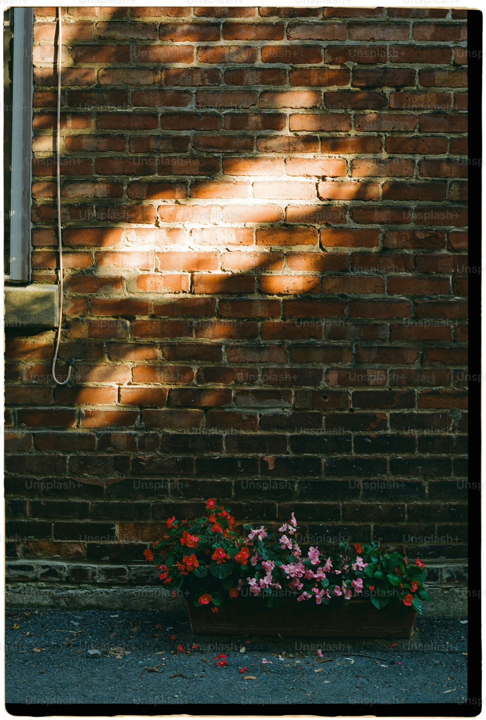 a brick wall with a planter filled with flowers