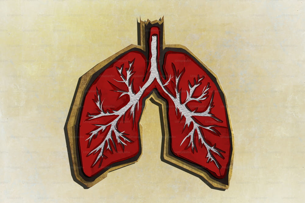 Ilustración de pulmones de papel texturizado