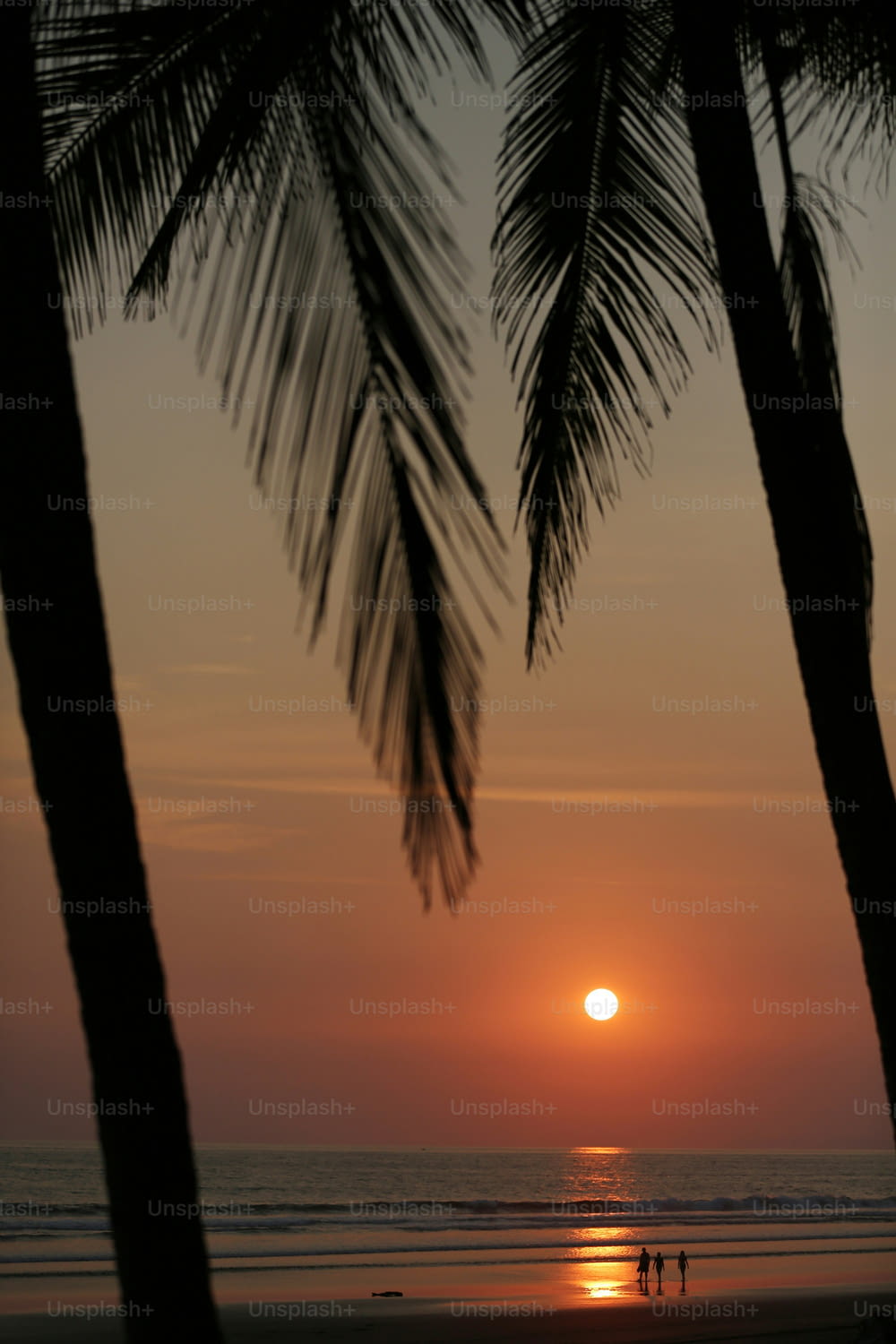 Die Sonne geht über dem Meer mit Palmen unter