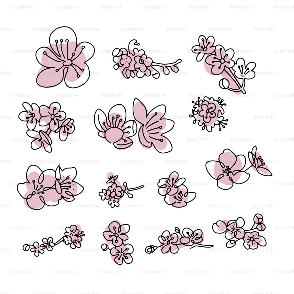 Japanese sakura buds set. Cherry blossom flowers in one line art style. Black and white doodle with abstract pink shapes. Spring element collection