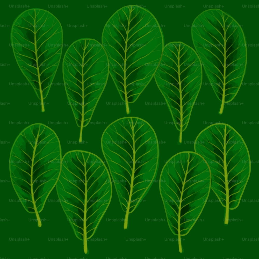 a bunch of green leaves on a green background