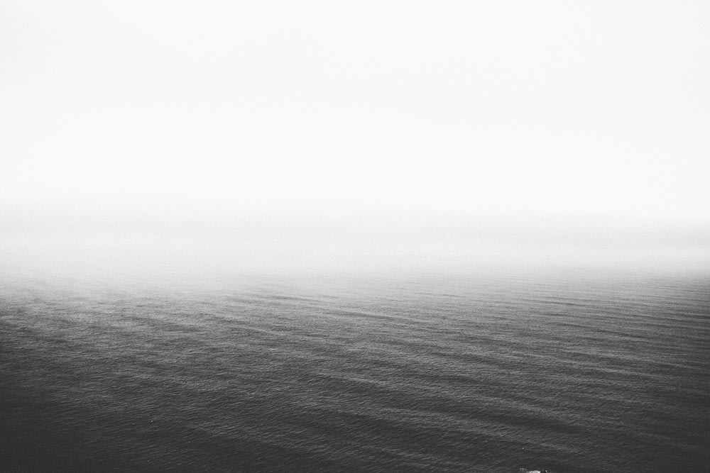 Fotografía en escala de grises de un cuerpo de agua