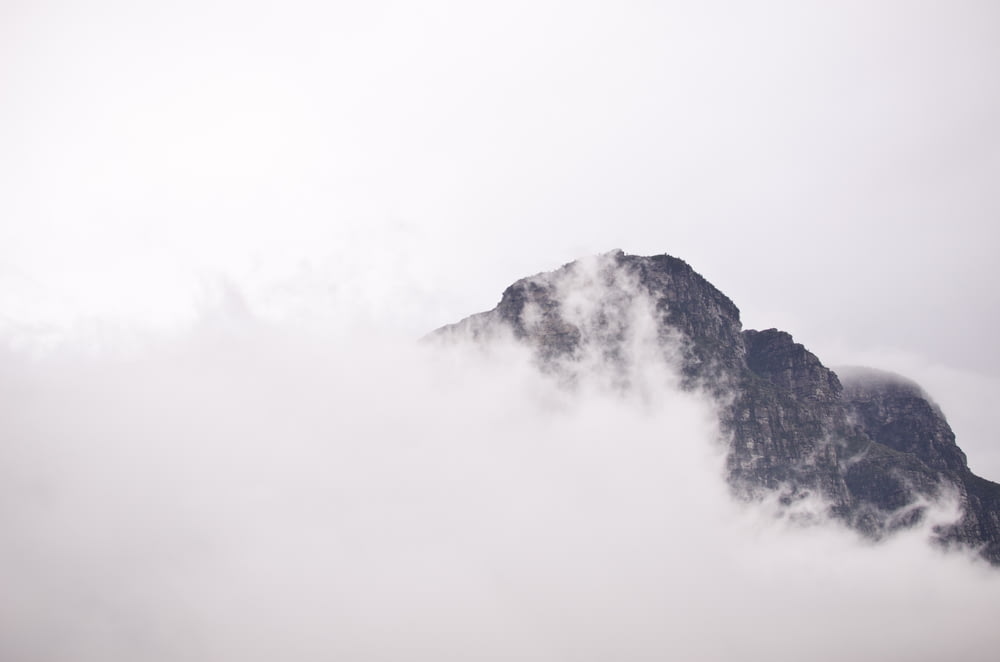 山に覆われた灰色の山
