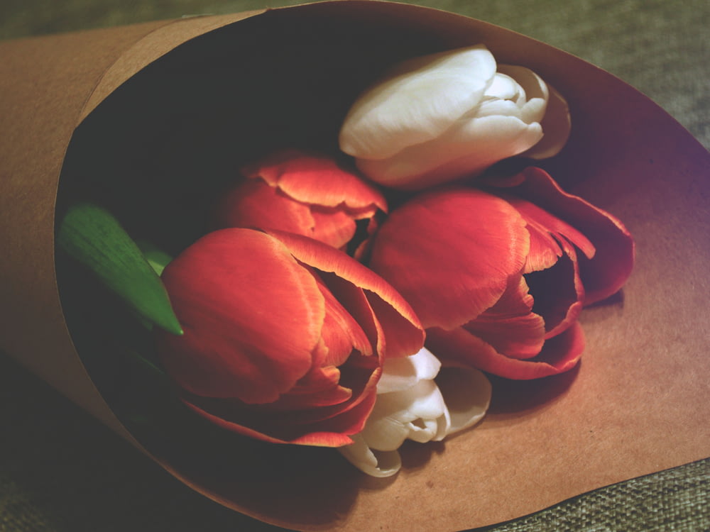 Ramo de tulipanes rojos y blancos