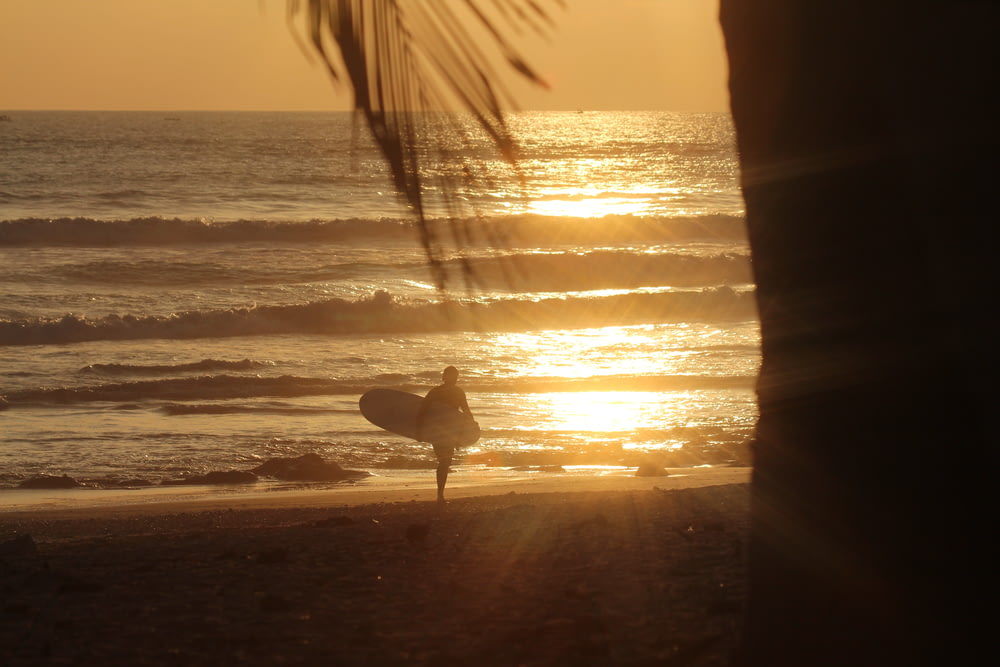 person carrying surfboard while walking on seashore during golden hour